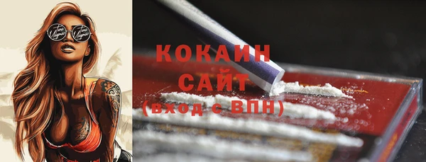 дмт Магас