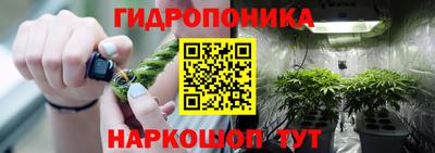 прущие крисы Ирбит