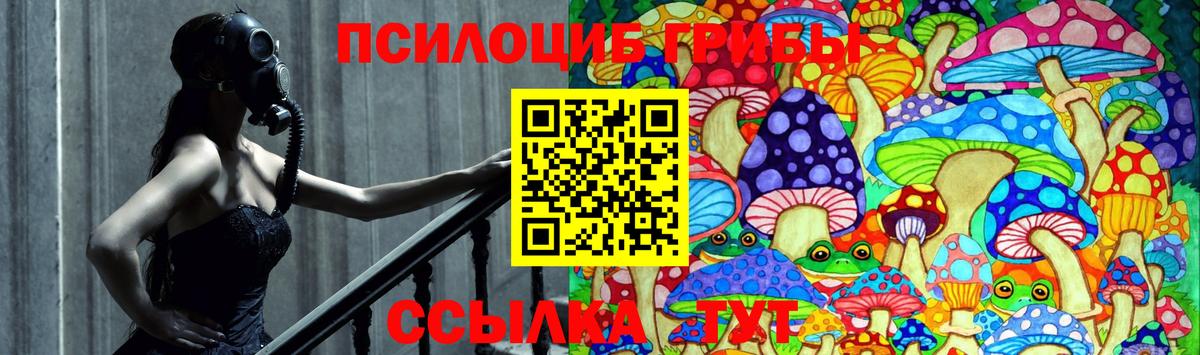 Псилоцибиновые грибы Cubensis  Псилоцибиновые грибы мицелий  Миасс  Вход с VPN 