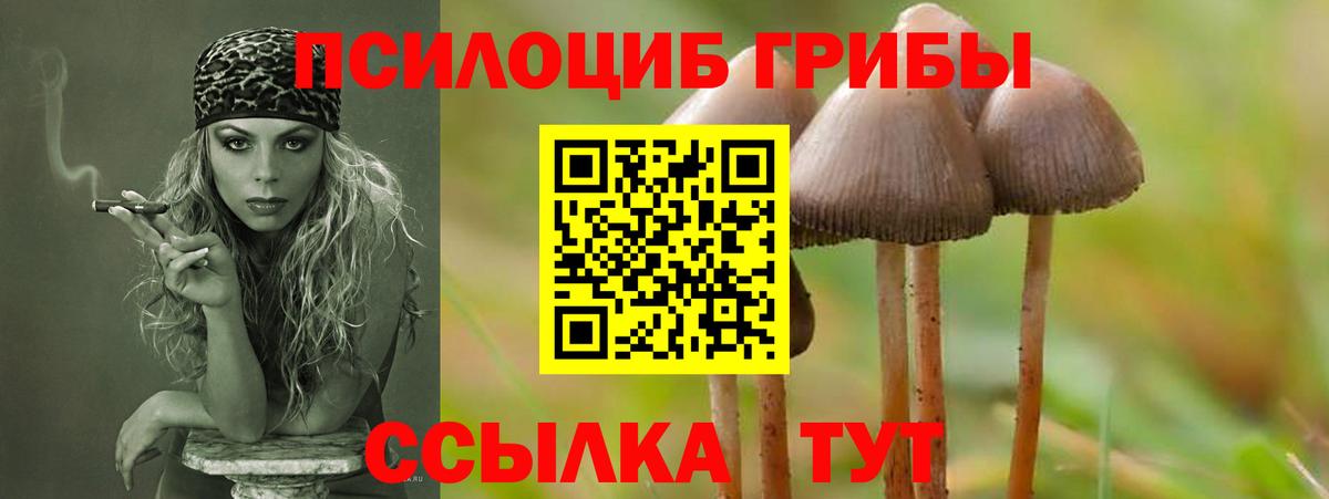 Галлюциногенные грибы мицелий Миасс